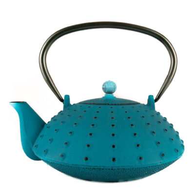 Tetera de Hierro Cactus